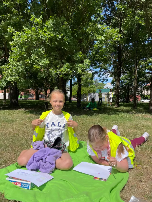 Aktyvios veiklos lauke